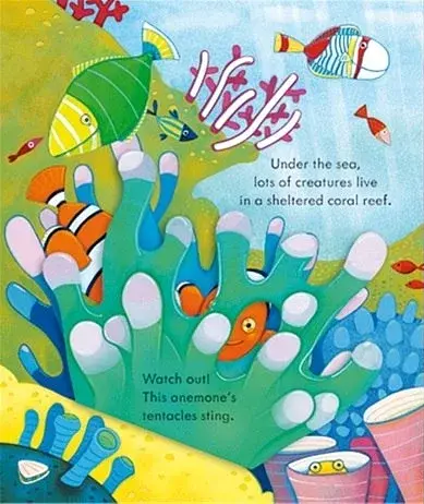 Peep Inside Animal Homes - фото 2