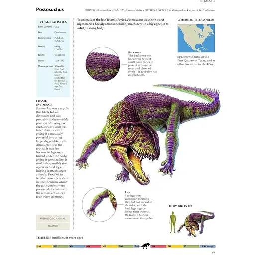 Encyclopedia of Dinosaurs - Меллинг Карл - фото 5