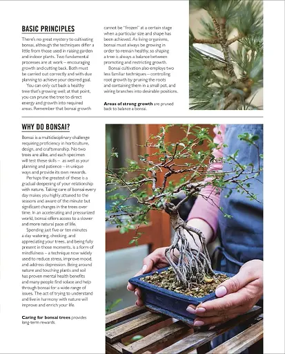 Grow Bonsai - фото 6