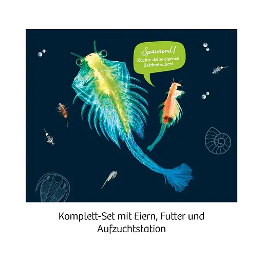 Морские рачки Sea Dogs Kosmos - Научный набор (616779) - фото 2