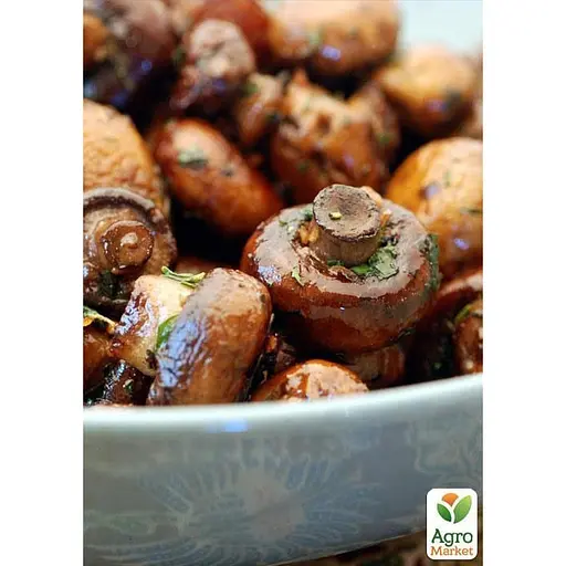 Сухий зерновий міцелій «Печериця садова» 100г (45200) - фото 2