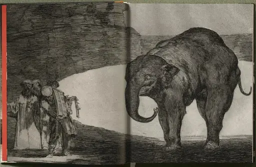 Goya. The Complete Prints - фото 7