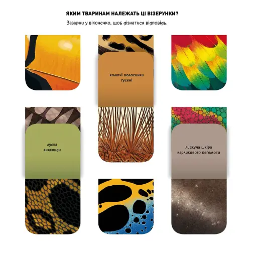 DOC Секрети. Тварини джунглів - фото 6