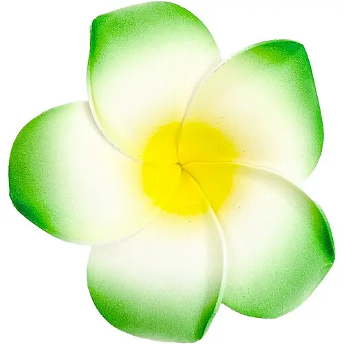 Заколка Гаваї - фото 1