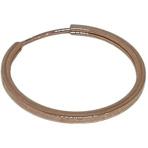 Золота моносережка Всесвіт. 22001500.5