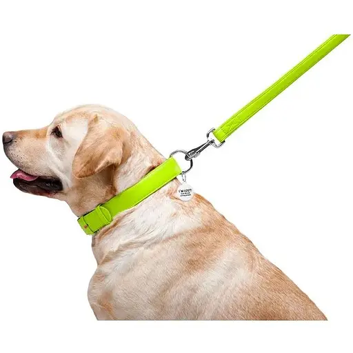 Повідець для собак Waudog Glamour шкіряний, салатовий - фото 6