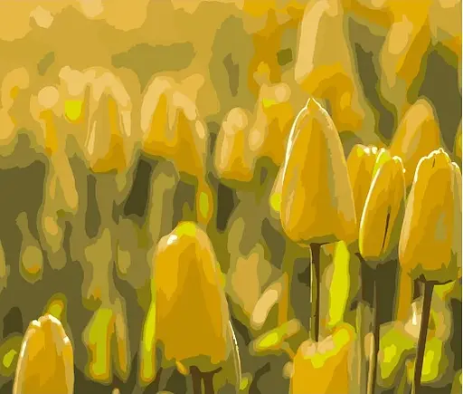 Набор для росписи по номерам Желтые тюльпаны, Strateg, 40x50 см, DY090