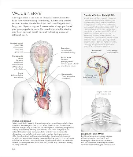 Science of Yoga. Understand the Anatomy and Physiology to Perfect Your Practice - фото 6