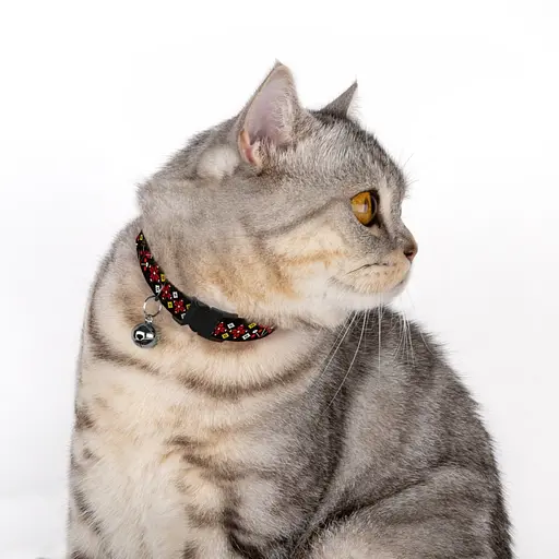 Нашийник для котів Барксі Urban патріотичний Вишиванка чорна - фото 4