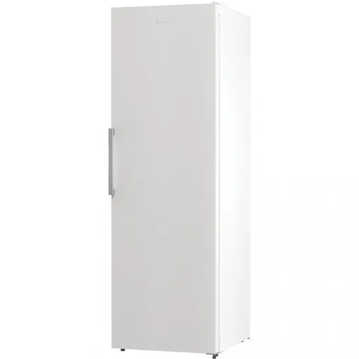 Морозильная камера Gorenje FN619FEW5 - фото 2