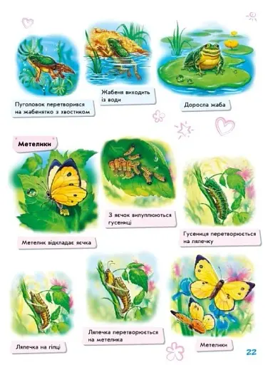 Малюкові про все на світі - фото 7