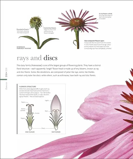 The Science of Plants - фото 13