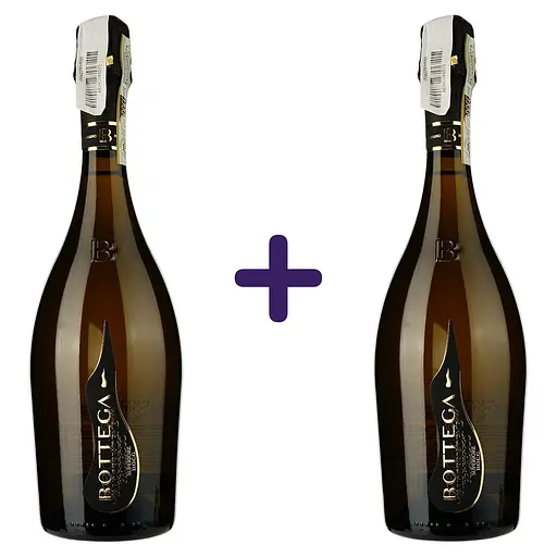 Вино ігристе Bottega Vino dei Poeti Prosecco Exta Dry DOCG екстра сухе біле 11,5% 1.5 л (2 шт. х 0.75 л) - фото 1