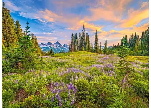 Пазл Castorland Утренние цветы 2000 эл. (C-200863) - фото 2