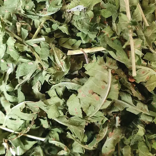 100 г папоротник листя сушене