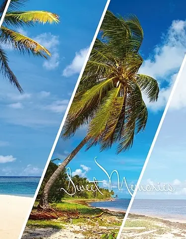 Фотоальбом UFO 10x15x200 PP-46200 Paradise