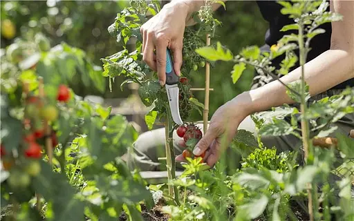 Ніж  Gardena VeggieCut для збирання врожаю (12211-30.000.00) - фото 9