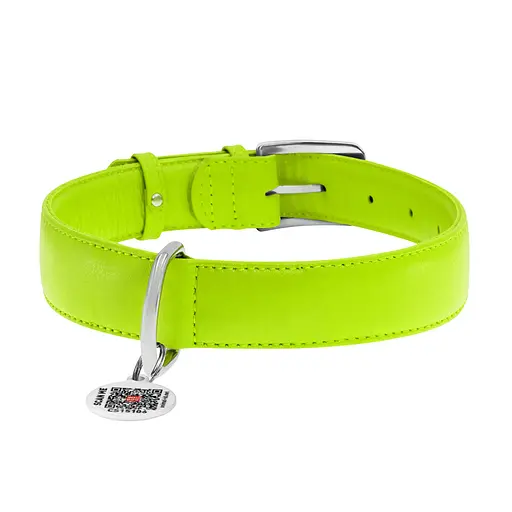 Нашийник для собак шкіряний Waudog Glamour з QR-паспортом без прикрас XL Ш 35 мм Д 46-60 см салатовий - фото 3