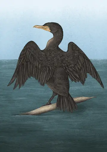 Орнітографія: Ілюстрований довідник із пташиної символіки та легенд - фото 5