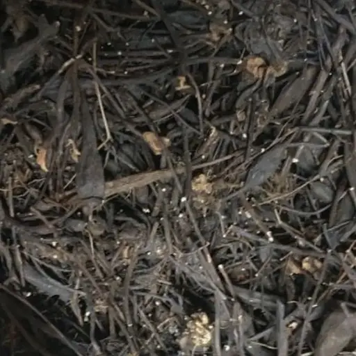 Сбор травяной при геморрое, 100 г, (Свое производство)