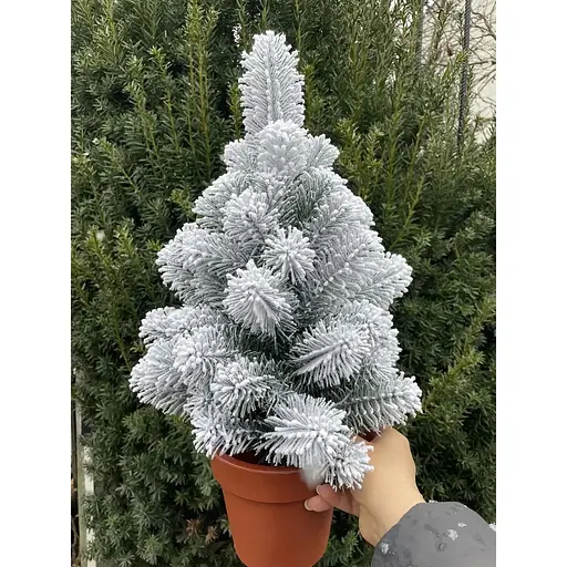 Елка Hvoya Premium литая в горшке 50 см заснеженная - фото 6