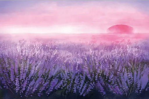 Книга Вересова міль. Книги-картинки. Автор - Оксана Була (ВСЛ) - фото 2