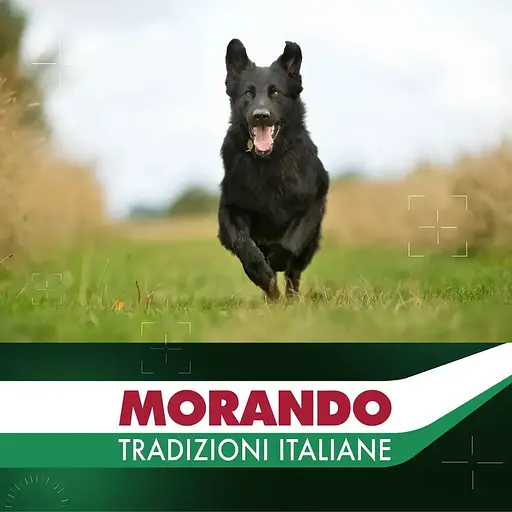 Сухой корм для собак крупных пород Morando Tradizioni Maxi с говядиной, горохом и овсом 12 кг - фото 5