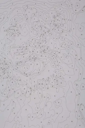 Набор для росписи по номерам "Львенок" 40*50 см, IDEA2-GX45984, ТМ "99IDEAS" - фото 7