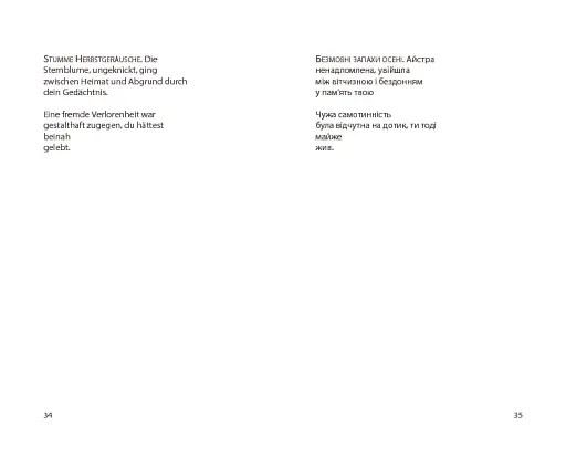 Нічийна троянда - фото 17