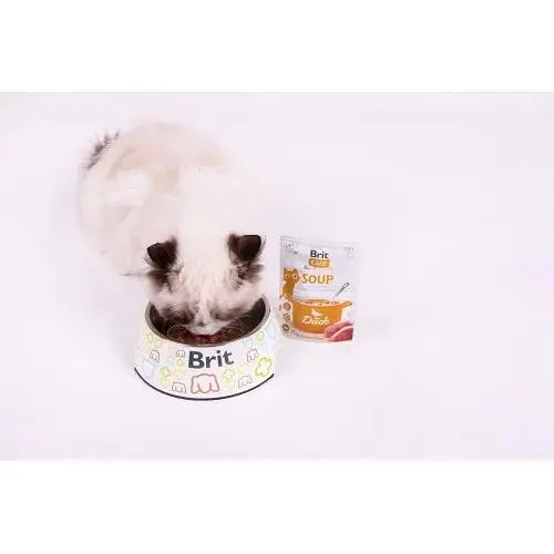 Корм влажный Brit Care Soup with Duck с уткой 75 г - фото 3