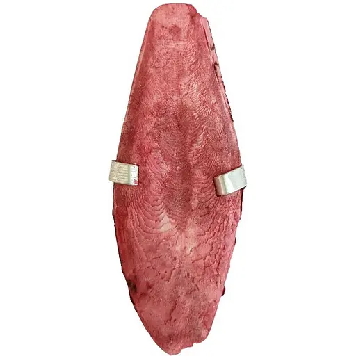 Мінеральний камінь для птахів TatraPet Fantasia з панцира каракатиці зі смаком яблука та меду з утримувачем 8-10 см