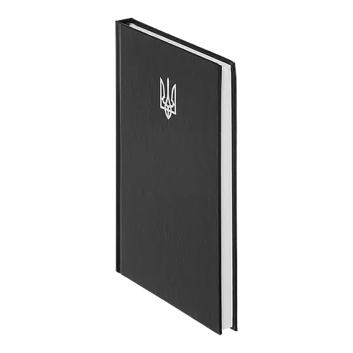 Ежедневник недатированный Buromax Airy A5 бумвинил черный (BM.20731-01) - фото 2