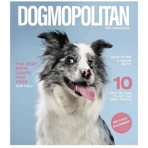 Зошит загальний Pets magazine Школярик 036-3194K-5 в клітинку 36 аркушів - фото 1
