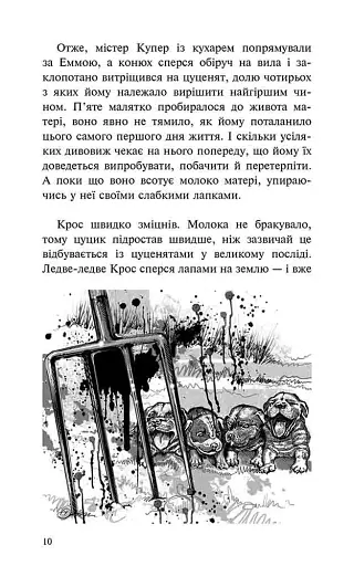 Пригоди Містера Кроса. Неймовірна подорож собаки-мандрівника - фото 7