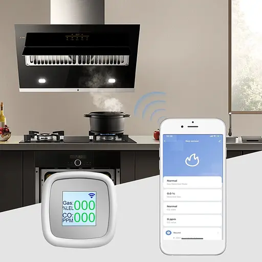 Wifi датчик витоку природного газу + чадного газу 2 в 1 з екраном та сиреною Nectronix GLD-20 - фото 6