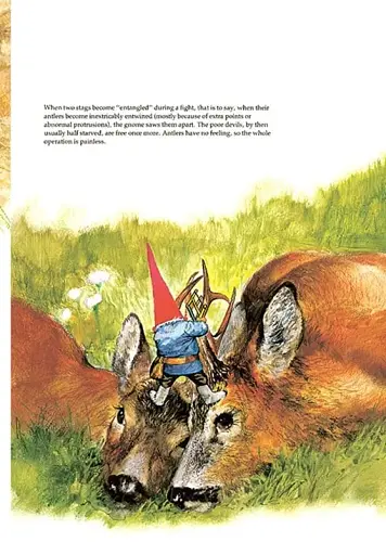 Gnomes - фото 13