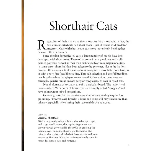 Cats - Фотопулос Джулианна - фото 4