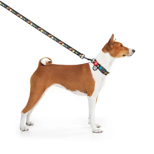 Нашийник для собак нейлоновий Waudog Nylon з QR-паспортом "Рік та Морті 3" пластиковий фастекс XL,Ш 25 мм Д 37-58 см - фото 6