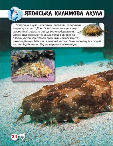 Світ навколо нас. Акули - фото 4