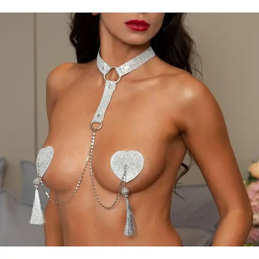 Пестіс JSY Nipple sticker RT236102 Silver One size