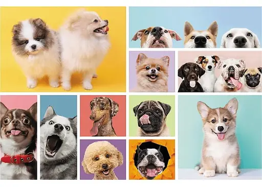 Пазл Trefl Дружба собачек 160 эл. (15412) - фото 2