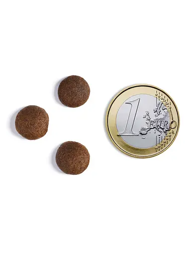 Уценка. Сухой корм Ambrosia Grain Free Dog Adult For Large Breeds Fresh Turkey & Chicken для взрослых собак крупных пород со свежей индейкой и курицей 12 кг - фото 4