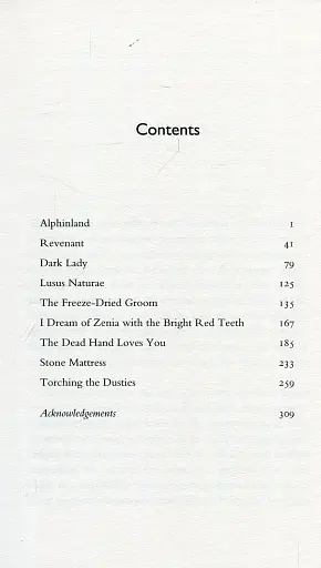 Stone Mattress: Nine Wicked Tales - фото 2