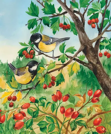 Детская энциклопедия про лес 614016 для дошкольников - фото 6