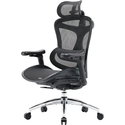Крісло офісне Sihoo Doro C300L Mesh Black (DORO-C300L-A3-101) - фото 3