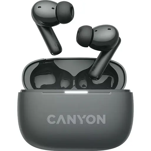 Навушники Canyon TWS headset OnGo TWS-10 ANC+ENC Grey (CNS-TWS10BK) - фото 1