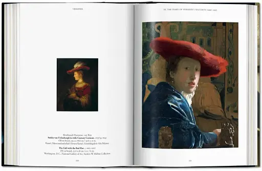 Vermeer. The Complete Works - фото 6