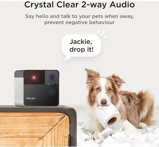 Компактная HD-камера Petcube Play 2 (PP20US) - фото 3