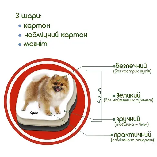 Детский развивающий набор магнитов Породы собак ML4031-20EN 24 фотомагниты - фото 4