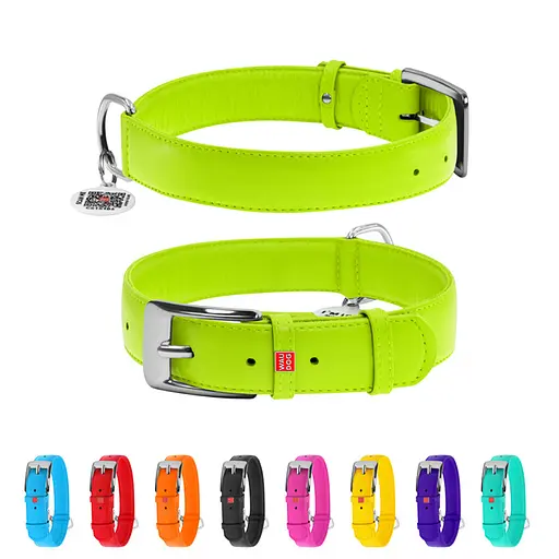 Нашийник для собак шкіряний Waudog Glamour з QR-паспортом без прикрас XL Ш 35 мм Д 46-60 см салатовий - фото 2